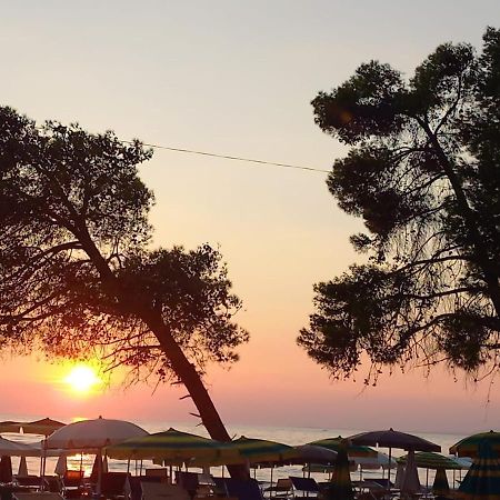Hotel Comfort Shëngjin Εξωτερικό φωτογραφία