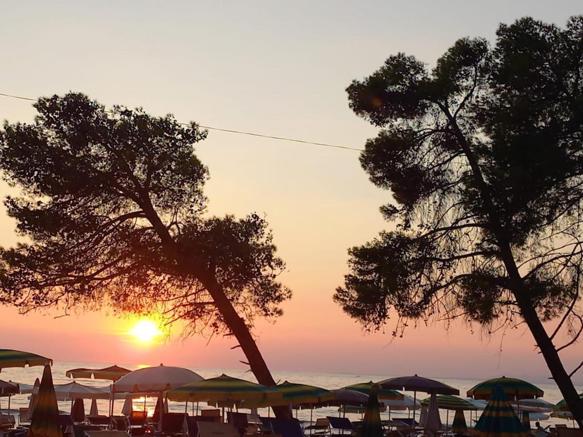 Hotel Comfort Shëngjin Εξωτερικό φωτογραφία